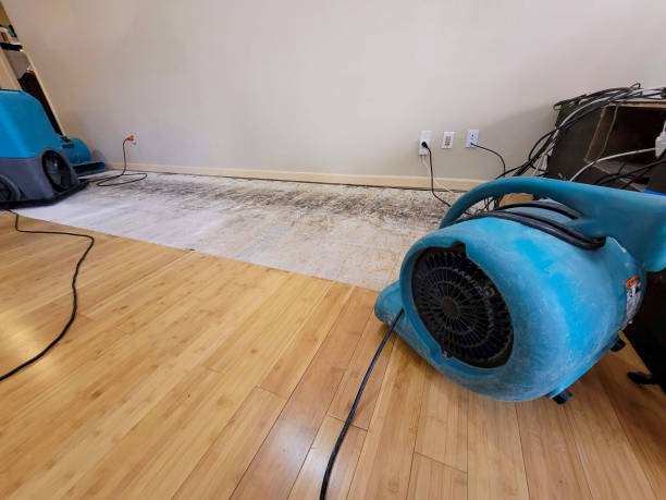 Professional Water Removal technician working in Nipton, CA